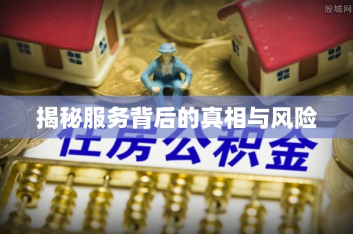 武平揭秘服务背后的真相与风险