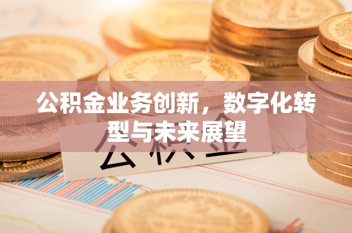 武平公积金业务创新，数字化转型与未来展望
