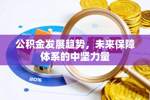 武平公积金发展趋势，未来保障体系的中坚力量