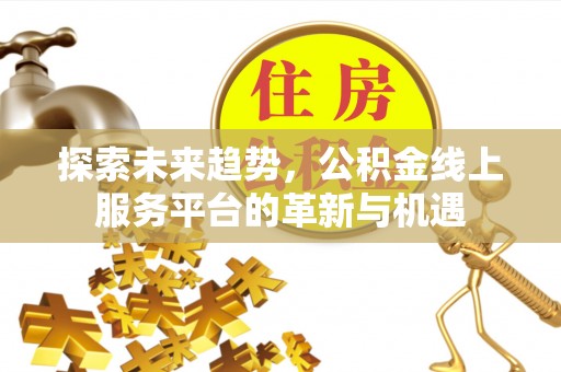 武平探索未来趋势，公积金线上服务平台的革新与机遇
