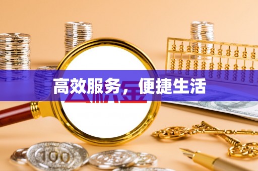 武平高效服务，便捷生活